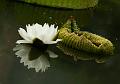 IMG-20170714-WA0006