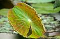 IMG-20170714-WA0008