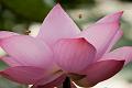 IMG-20170714-WA0012