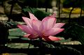IMG-20170714-WA0026