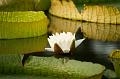 IMG-20170714-WA0034