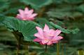 IMG-20170714-WA0037