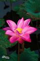 IMG-20170714-WA0040