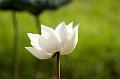IMG-20170714-WA0046