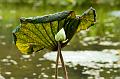 IMG-20170714-WA0048