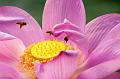 IMG-20170714-WA0050