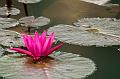 IMG-20170714-WA0058