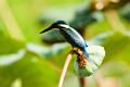 IMG-20170714-WA0065