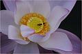 IMG-20170715-WA0017