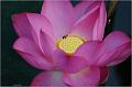 IMG-20170715-WA0018