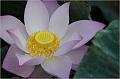 IMG-20170715-WA0020