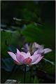 IMG-20170715-WA0021