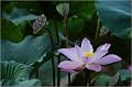 IMG-20170715-WA0025