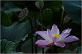 IMG-20170715-WA0026