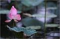IMG-20170715-WA0032