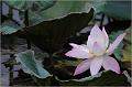 IMG-20170715-WA0034