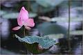 IMG-20170715-WA0035
