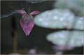 IMG-20170715-WA0036