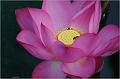 IMG-20170715-WA0038
