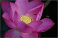 IMG-20170715-WA0039