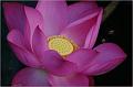 IMG-20170715-WA0040