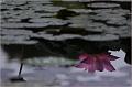IMG-20170715-WA0043