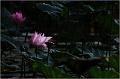 IMG-20170715-WA0049