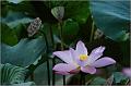 IMG-20170715-WA0057