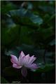 IMG-20170715-WA0060