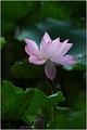IMG-20170715-WA0061
