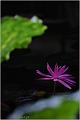 IMG-20170715-WA0064