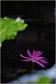 IMG-20170715-WA0065