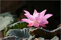 IMG-20170715-WA0067