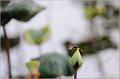 IMG-20170715-WA0068