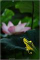 IMG-20170715-WA0072