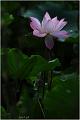 IMG-20170715-WA0074
