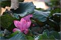 IMG-20170715-WA0084