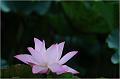 IMG-20170715-WA0090