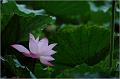 IMG-20170715-WA0095