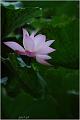 IMG-20170715-WA0097