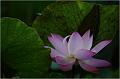IMG-20170715-WA0187