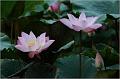 IMG-20170715-WA0191