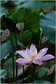 IMG-20170715-WA0233