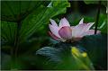 IMG-20170715-WA0234