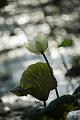 _DSC7697