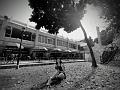 IMG-20220915-WA0014