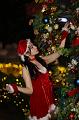 IMG-20241214-WA0002
