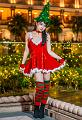 IMG-20241214-WA0053