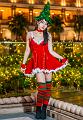 IMG-20241214-WA0058