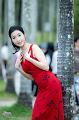 IMG-20250416-WA0010